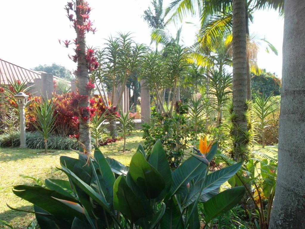 Ku De Ta B&B White River Bagian luar foto