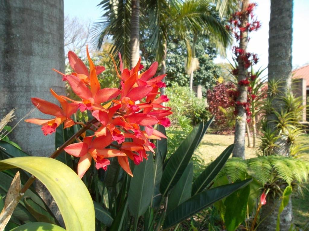 Ku De Ta B&B White River Bagian luar foto