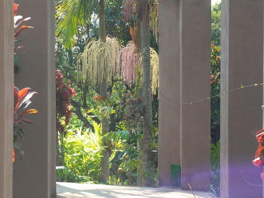 Ku De Ta B&B White River Bagian luar foto